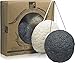 Master Konjac Sponge