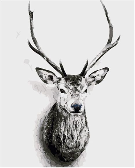Amazon Good Value 油絵 数字キットによる絵画 塗り絵 大人 手塗り Diy絵 デジタル油絵 手描き 応接間装飾画 塗装 壁掛け 手作り 初心者手芸 40x50cm 黒と白のシカの頭 ぬりえ ホビー