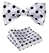 HISDERN Men's Bow Ties Polka Dot Self Tie Bowtie and Handkerchief Set White Classic Formal Business Tuxedo Bowties for Wedding Party