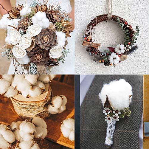 HAKACC Baumwolle Deko, 10 Stück Natürlich Getrocknete Baumwolle Trockenblumen Deko DIY Dekoration Home Party