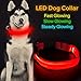 Flashseen LED Dog Collar, USB Rechargeable Glowing Pet Collar Night Safety LED Light Up Dog Cool Collars for Dogs with Nylon Webbing Perfect for Small, Medium, Large Dogs(Medium, Red)