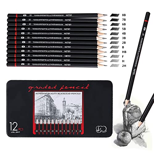 Sketching Pencils,12pcs Drawing Pencil Professional Set 8B 7B 6B 5B 4B 3B 2B B HB F H 2H Art Pencils for Adults Artists Beginners Students Beginners Designers and Kids