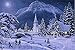 Lightahead Christmas Tapestry 26x18 inch (DOUBLE SIDED TWO DIFFERENT PICTURES) FIBER OPTIC Wall Hanging tapestry with wood pole & brackets. Great Christmas decorations and Gifts