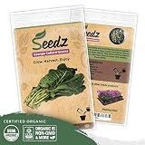 Organic Collard Greens Seeds, APPR. 125, Georgia Collard Greens, Heirloom Vegetable Seeds, Certified Organic, Non GMO, Non Hybrid, USA