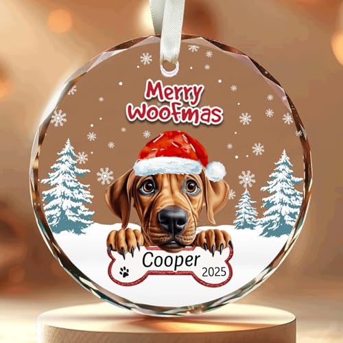 Namashops Personalized Dog Christmas Ornament, Custom Name… at Amazon