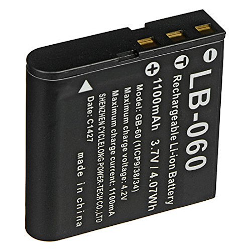 Pentax-Ricoh LB-060 L-ion Rechargeable Battery