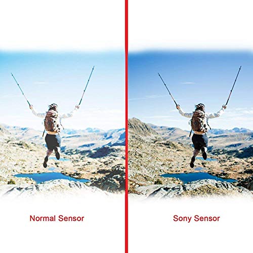 2 10MP+Video+Camera+Glasses+Sunglasses