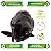 LIFE ESSENTIALS BY CAT-MAN-DOO All-Natural Freeze Dried Chicken Treats for Dogs & Cats No Grains, Fillers, Additives and Preservatives, A Healthy Treat Proudly Made in The USA - 3 Pack (5 oz. Bags)