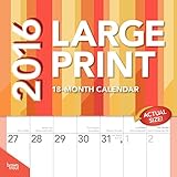 Large Print - 2016 Calendar 12 x 12in