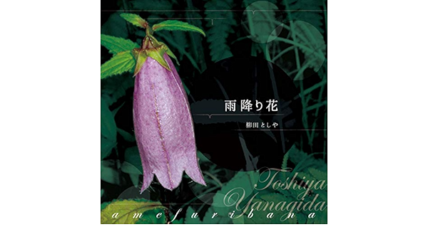 雨降り花 Amazon Com Music