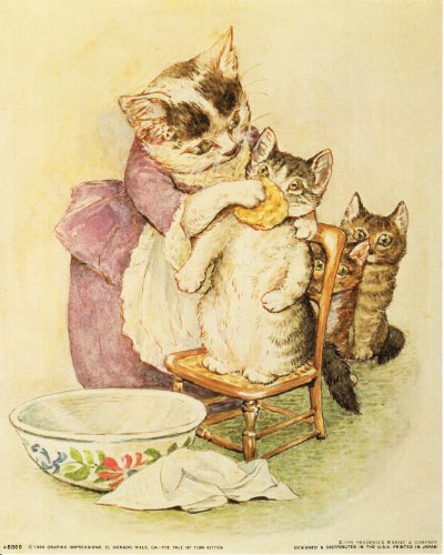 The Tale of Tom Kitten Beatrix Potter Kids Room Art Print Poster (16x20)