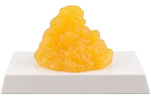 SIMCOACH Human Body Fat Replica 1 lb with Display Base, Keep Fit & Weight Loss Motivation & Reminder, Human Fatty Tissue Demonstration Model for Nutritionist