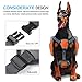 Pawaboo Dog Backpack, Pet Adjustable Saddle Bag Harness Carrier, for Traveling Hiking Camping, Medium Size, Orange & Gray