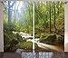 Ambesonne Woodland Curtains, Forest Scene at Golitha Falls Nature Reserve on The River Fowey Cornwall England, Living Room Bedroom Window Drapes 2 Panel Set, 108