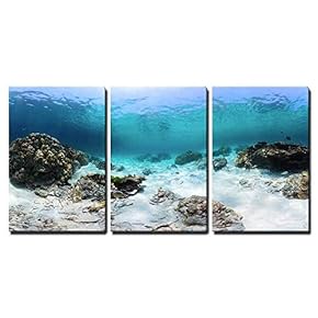 3 Piece Canvas Wall Art - Panorama of a Tropical Reef with Rocks on a Sandy Bottom. Racha Yai Island, Thailand - Modern Home Art Stretched and Framed Ready to Hang - 16"x24"x3 Panels