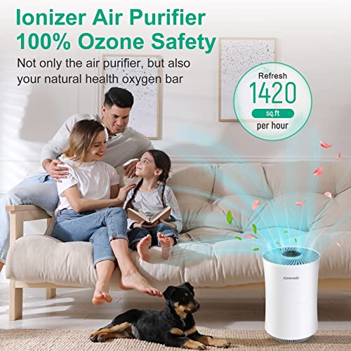 Air Purifiers for Bedroom Home Large Room Up to 1420 ft² 6 Layers H13 True HEPA Filter, Ionizer Air Purifier with Air Quality Sensor Timer, Purify 99.99% Smoke Pet Hair Odor, Available for California