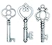 Salome Idea Skeleton Key Set in Antique Silver (30 Keys) 3 Different Styles - Vintage Style Key Replicas (Small Size, Silver Color)