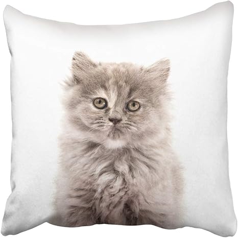 Amazon Emvency 装飾用クッションカバー グレー キャラクター ふわふわ 猫 白いコンセプチュアル かわいい 国産 例 Feline ファーボール 50 8x50 8cm 枕カバー クッションカバー 両面 枕 抱き枕 オンライン通販