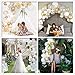 Balloon Garland Arch Kit, Balloons Garland Set Gold White Balloons Confetti Artificial Palm Wedding Shower Birthday Party Halloween Decorations DIY Decor Pack of 139
