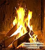 BULK Fragrance Oil - CRACKLING FIREWOOD Fragrance Oil - Warm glow of crackling warm woods blended with a hint of sweet raspberry and vanilla - By Oakland Gardens (030 mL - 1.0 fl oz Bottle)