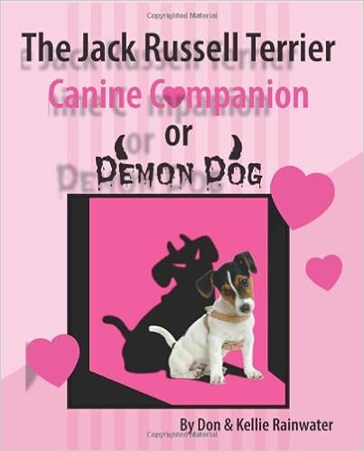 The Jack Russell Terrier Canine Companion or Demon Dog �y�[�p�[�o�b�N  - 2008/3/3