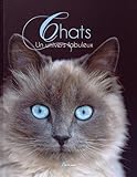 Chats : un Univers Fabuleux by 