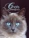 Chats : un Univers Fabuleux by 