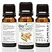 Biofinest Palo Santo Essential Oil - 100% Pure Organic Therapeutic Grade - Best for Aromatherapy, Immune System, Ease Headache Insomnia Cold Flu Sore Throat Muscle Joint Pain - Free E-Book (10ml)