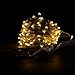 YINUO LIGHT Copper Wire Lights Decorative Led Lights USB Operated 100 LED 33ft Warm White Rope Lights Waterproof Fairy String Lights for Home