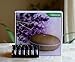 Aromatherapy Diffuser with Essential Oil Gift Set – Bundle with Smiley Daisy Best Ultrasonic Diffuser and 100% Pure Essential Oils – for Moms Dads and Kids (Hibiscus Brown w/Juju Aroma Gift Set)