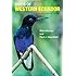 Birds of Western Ecuador: A Photographic Guide