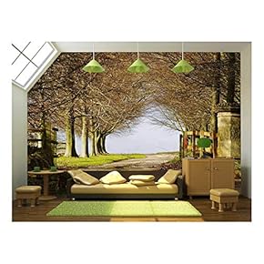 Park Entry Gate in Winter, England, UK - Removable Wall Mural | Self-Adhesive Large Wallpaper - 66x96 inches