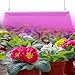 ANTLUX 4ft LED Grow Plant Lights 80W (600W Equivalent) Full Spectrum Integrated Growing Lamp Fixture for Greenhouse Hydroponic Indoor Seedling Veg and Flower, Plug in with on/Off Switch, 4 Pack
