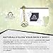 Jade Roller and Gua Sha Tool Set Kit –100% Natural Real Jade– Ideal for the Body and Face to Boost Blood Circulation and Skin Collagen Production– Anti Aging Facial Therapy & Manual Inside- Zustbeauty