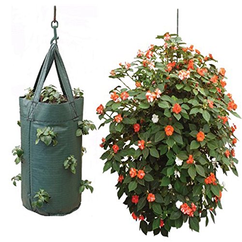 Set of 2 Hanging Planter Grow Bag Pouch Tomato Herbs Flowers