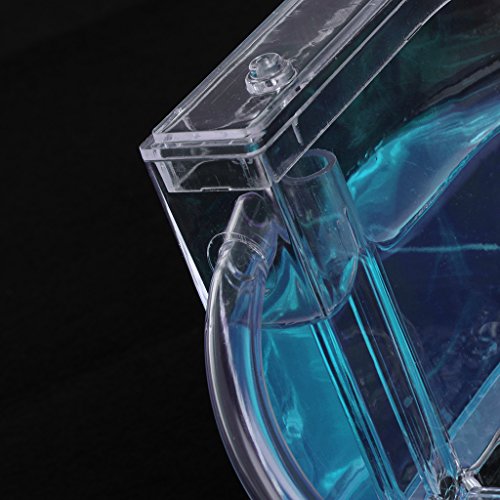 Qupida 3D Ant Farm Educational Maze Live Feeding System Ants Habitat World Pet Villa,Ant Works Castle Experiment (BL)
