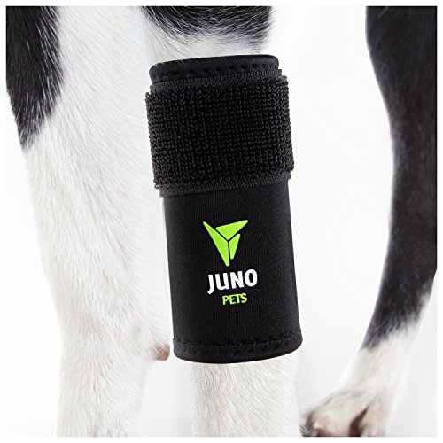 JunoPets Dog Canine Leg Knee Brace, Hock Joint Wrap for Heals and Prevents Injuries and Sprains Helps with Loss of Stability (Front Leg, Small/Med)