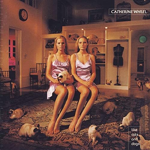 新品未開封 EVIDENCE CATS&DOGS 2 LP Evidence - Cats & Dogs - Amazon.com Music
