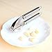 Innoo Tech Garlic Press Stainless Steel – the Garlic Cookbook eBook Included - Ginger Press
