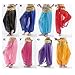 MUNAFIE Belly Dance Harem Pants Arabic Halloween Lantern Shiny Pants Fancy Pants US0-14