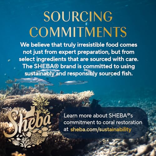 SHEBA PERFECT PORTIONS WET CAT FOOD CUTS IN GRAVY VARIETY PACK, WITH SUSTAINABLE SALMON, WITH SUSTAINABLE TUNA, AND DELICATE WHITEFISH & TUNA ENTREE, 2.6 OZ. TWIN-PACK TRAYS (24 COUNT, 48 SERVINGS)