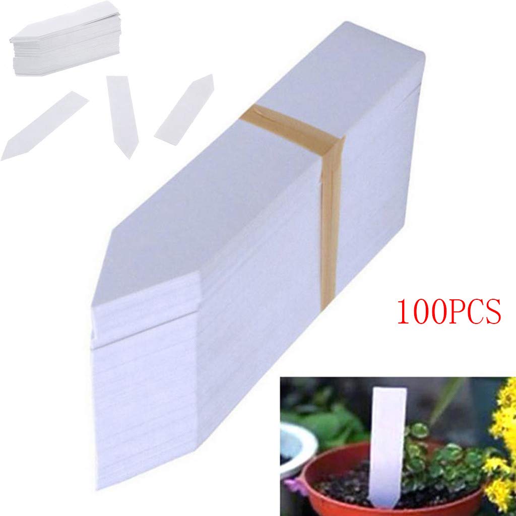Finedayqi - Etiquetas de plástico para Plantas, Plantas, Plantas ...
