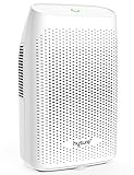 Hysure Portable Mini Dehumidifier Electric