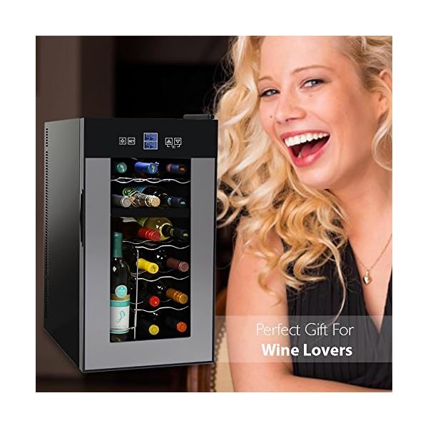 NutriChef-PKTEWCDS1802-18-Bottle-Dual-Zone-Thermoelectric-Wine-Cooler-Red-and-White-Wine-Chiller-Countertop-Wine-Cellar-Freestanding-Refrigerator-with-LCD-Display-Digital-Touch-Controls