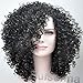 RUISENNA Afro Curly Hair Wigs for Black Woman High density Kinky Hair 100% Heat Resistant Fiber Synthetic Wig 20