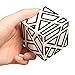 Twister.CK 3X3X3 Abnormity Cube Ghost Cube,3x3 Ghost Cube Puzzle with black Sticker,Speed Cube Puzzle New with Hollow out Stickers,Best Speed Cube Puzzle in the World,Brain Teasers for All Ages.