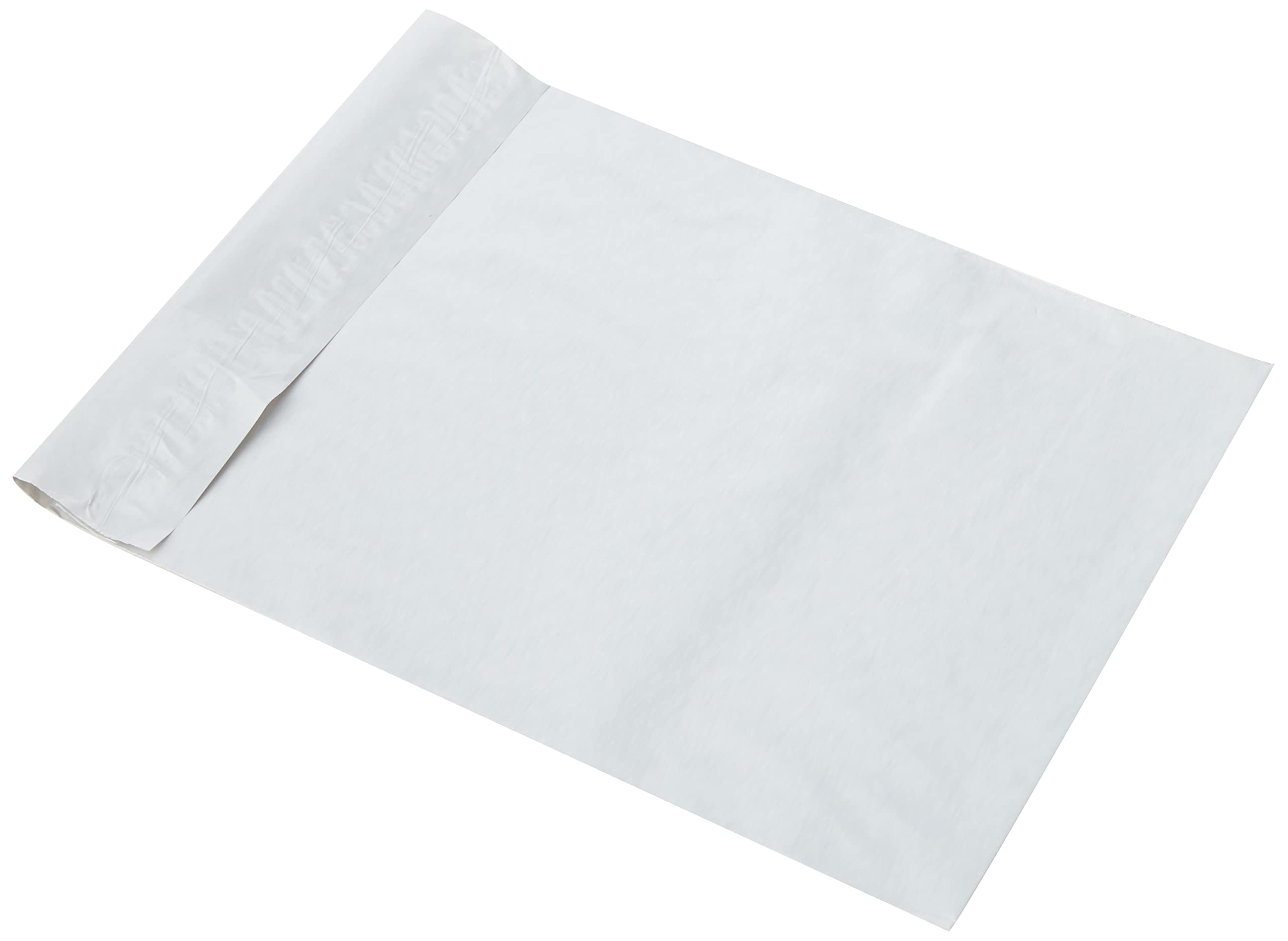 Triplast 6 x 9-Inch Plastic Mailing Postal Bag - White (Pack of 100)