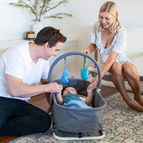 Bouncer 2in1 Cradle Bed for Infants, Babies, Newborns