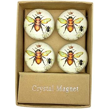 Value Arts Imperial French Honey Bee Glass Dome Magnets, Set of 4