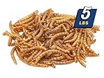 MBTP Bulk Dried Mealworms - Treats for Chickens & Wild Birds (5 Lbs)